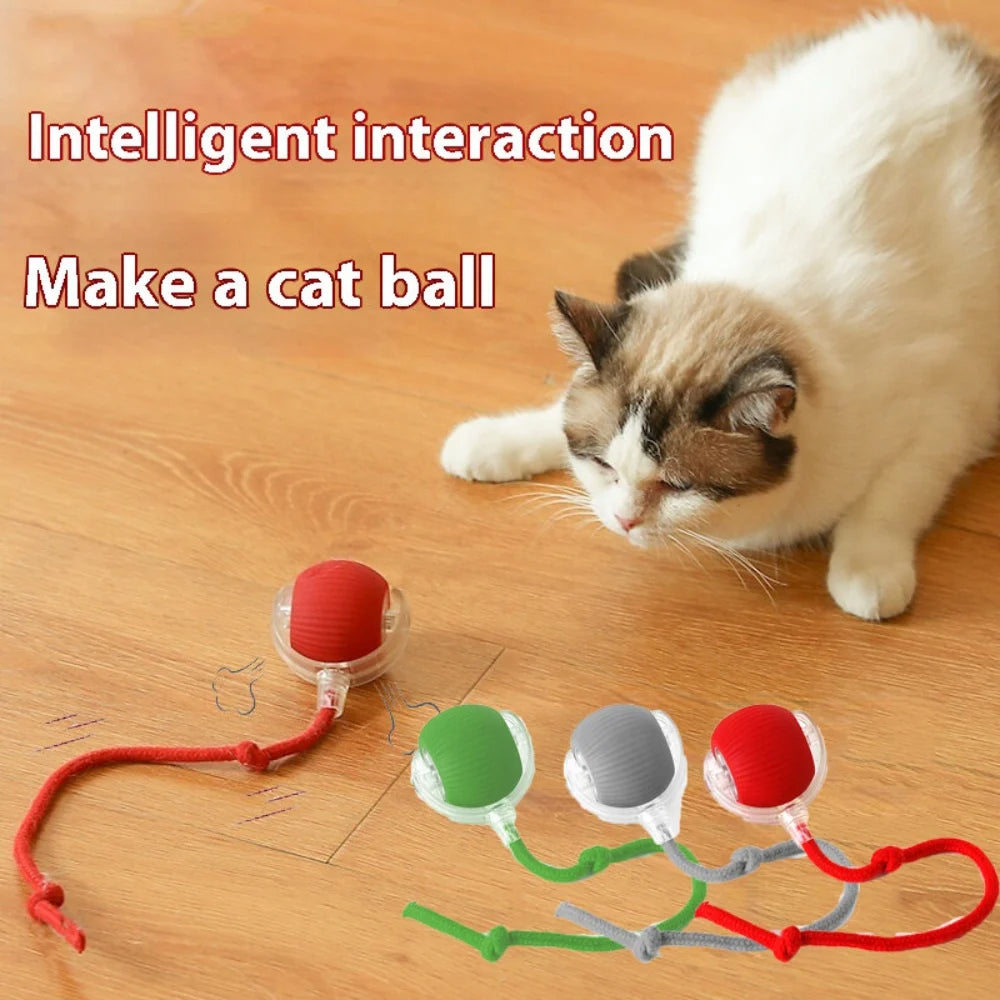 Pet Supplies